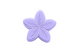 Fleur de Frangipanier - Perle en silicone