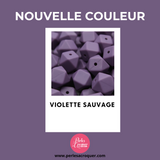 Nouvelle couleur: Violette sauvage